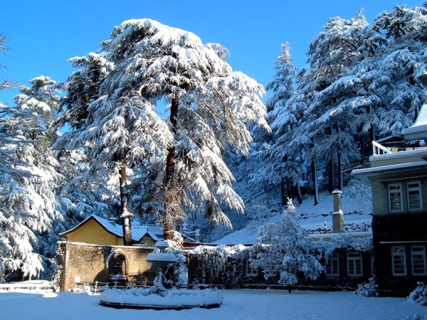 shimla-hoenymoon-detination-in-india