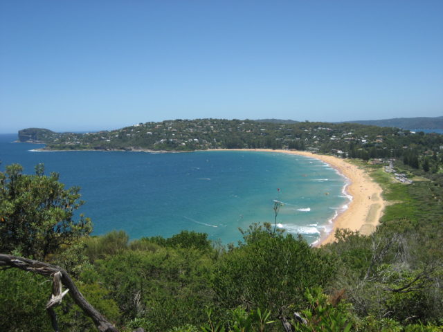 Palm Cove