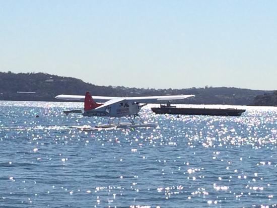 sydney-seaplanes