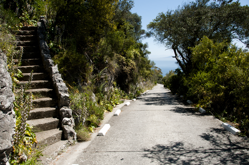 Upper Rock Nature Reserve in Gibraltar