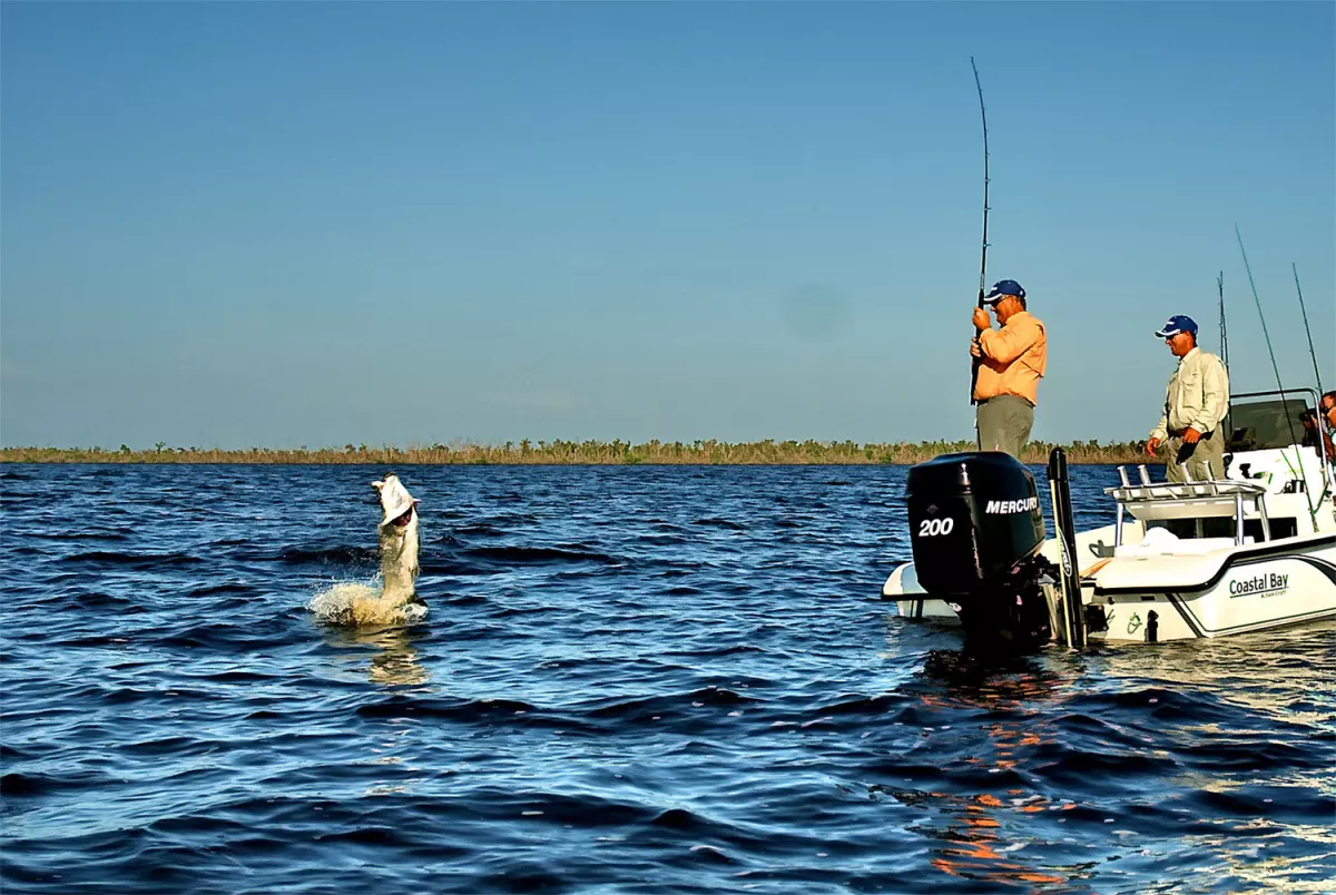 fishing