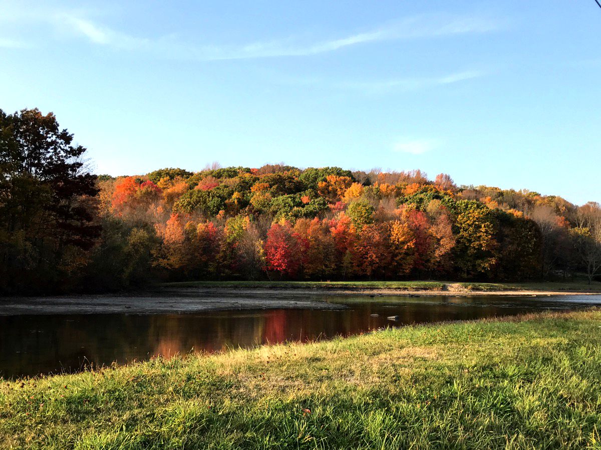 New England