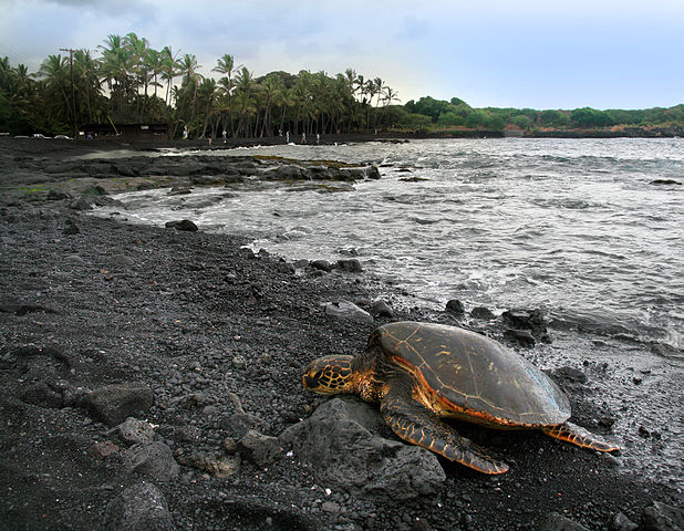 top 10 things to do on the big island