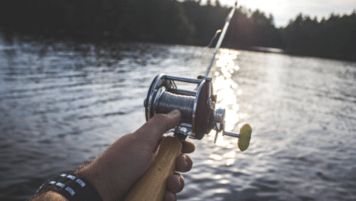 Long Island Sound fishing