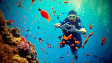 Maldives Scuba Diving