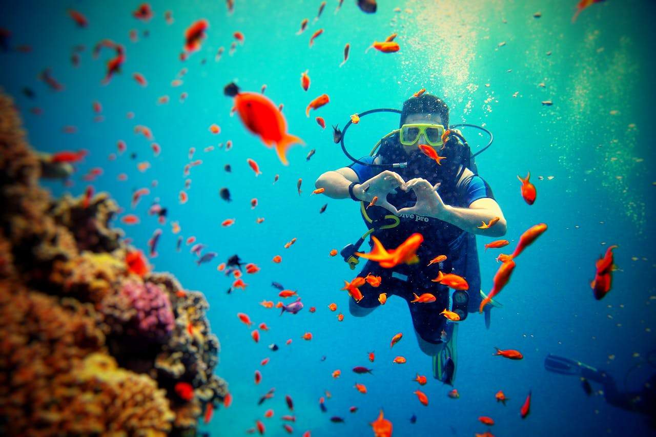 Maldives Scuba Diving