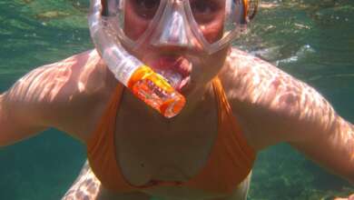 snorkelling in the Maldives