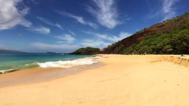 Maui Beach safety