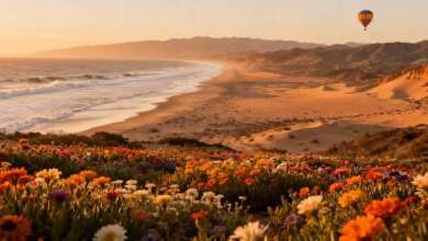 day trips from san diego california