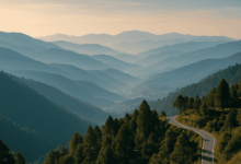 Bhararisain vs Gairsain