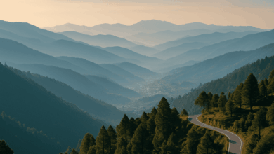 Bhararisain vs Gairsain