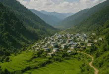 bhararisain