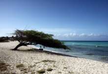 Things to do in Aruba