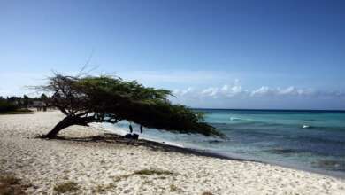 Things to do in Aruba