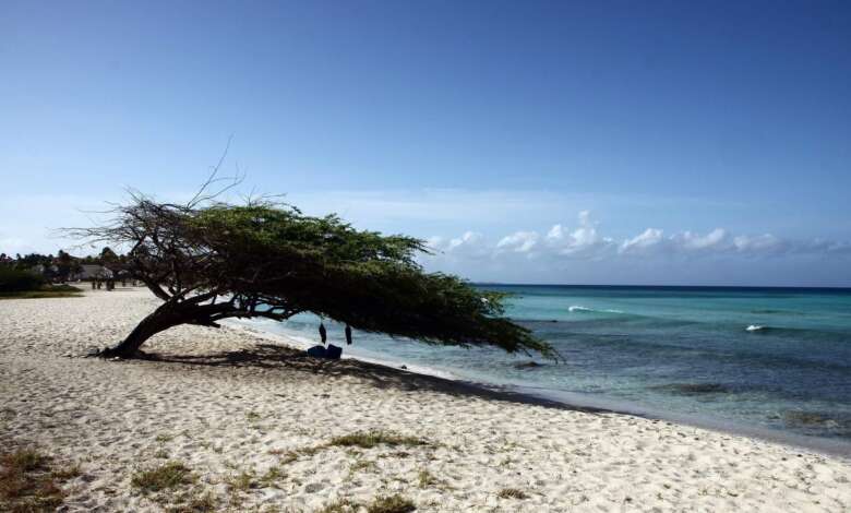 Things to do in Aruba